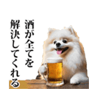 酒☆ポメラニアン（個別スタンプ：12）