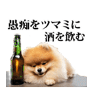 酒☆ポメラニアン（個別スタンプ：31）