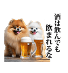 酒☆ポメラニアン（個別スタンプ：33）