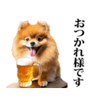 酒☆ポメラニアン（個別スタンプ：36）