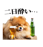 酒☆ポメラニアン（個別スタンプ：38）