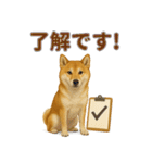 リアルわんこスタンプ全身8犬種（個別スタンプ：2）