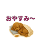 リアルわんこスタンプ全身8犬種（個別スタンプ：9）