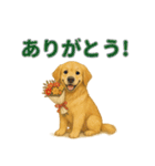 リアルわんこスタンプ全身8犬種（個別スタンプ：10）