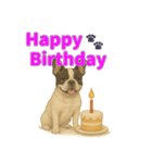 リアルわんこスタンプ全身8犬種（個別スタンプ：14）