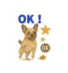 リアルわんこスタンプ全身8犬種（個別スタンプ：15）