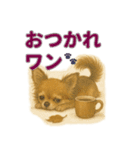 リアルわんこスタンプ全身8犬種（個別スタンプ：17）