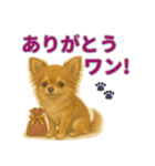 リアルわんこスタンプ全身8犬種（個別スタンプ：18）