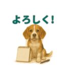 リアルわんこスタンプ全身8犬種（個別スタンプ：20）