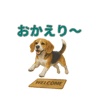 リアルわんこスタンプ全身8犬種（個別スタンプ：21）