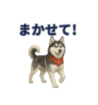 リアルわんこスタンプ全身8犬種（個別スタンプ：23）