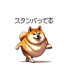 バイリンガル的 少しふざけた 太っちょ柴犬（個別スタンプ：2）