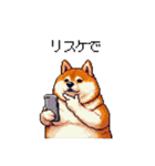 バイリンガル的 少しふざけた 太っちょ柴犬（個別スタンプ：8）
