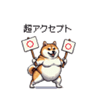 バイリンガル的 少しふざけた 太っちょ柴犬（個別スタンプ：9）