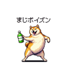 バイリンガル的 少しふざけた 太っちょ柴犬（個別スタンプ：12）