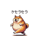 バイリンガル的 少しふざけた 太っちょ柴犬（個別スタンプ：13）