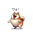 バイリンガル的 少しふざけた 太っちょ柴犬（個別スタンプ：15）