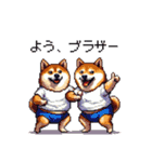 バイリンガル的 少しふざけた 太っちょ柴犬（個別スタンプ：17）