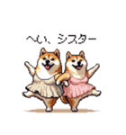 バイリンガル的 少しふざけた 太っちょ柴犬（個別スタンプ：18）