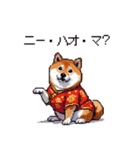 バイリンガル的 少しふざけた 太っちょ柴犬（個別スタンプ：22）