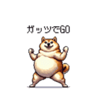 バイリンガル的 少しふざけた 太っちょ柴犬（個別スタンプ：24）