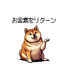 バイリンガル的 少しふざけた 太っちょ柴犬（個別スタンプ：27）