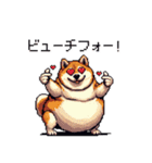 バイリンガル的 少しふざけた 太っちょ柴犬（個別スタンプ：30）