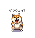 バイリンガル的 少しふざけた 太っちょ柴犬（個別スタンプ：31）