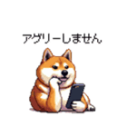 バイリンガル的 少しふざけた 太っちょ柴犬（個別スタンプ：35）