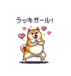 バイリンガル的 少しふざけた 太っちょ柴犬（個別スタンプ：36）