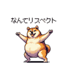 バイリンガル的 少しふざけた 太っちょ柴犬（個別スタンプ：38）
