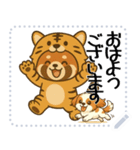 レッサーパンダ（特別）メッセージスタンプ（個別スタンプ：1）