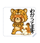 レッサーパンダ（特別）メッセージスタンプ（個別スタンプ：2）