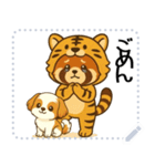 レッサーパンダ（特別）メッセージスタンプ（個別スタンプ：3）