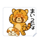 レッサーパンダ（特別）メッセージスタンプ（個別スタンプ：4）