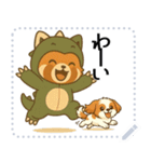 レッサーパンダ（特別）メッセージスタンプ（個別スタンプ：7）