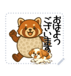 レッサーパンダ（特別）メッセージスタンプ（個別スタンプ：10）