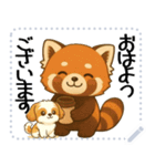レッサーパンダ（特別）メッセージスタンプ（個別スタンプ：13）