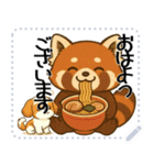 レッサーパンダ（特別）メッセージスタンプ（個別スタンプ：15）