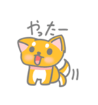 柴犬の可愛いすぎるスタンプ（個別スタンプ：9）