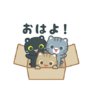 動く！3びきのこねこ♪（個別スタンプ：1）