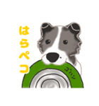 わんこの主張（個別スタンプ：4）
