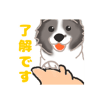 わんこの主張（個別スタンプ：5）