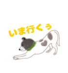 わんこの主張（個別スタンプ：7）