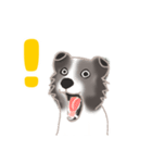 わんこの主張（個別スタンプ：10）