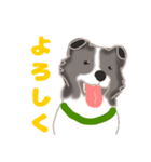 わんこの主張（個別スタンプ：12）