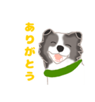 わんこの主張（個別スタンプ：14）