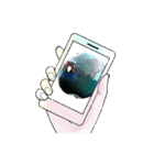 雉ver1（個別スタンプ：24）