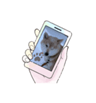 柴犬ハルver6（個別スタンプ：8）