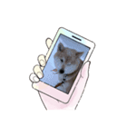柴犬ハルver6（個別スタンプ：9）